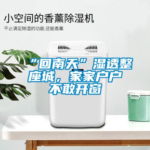 “回南天”湿透整座城，家家户户不敢开窗