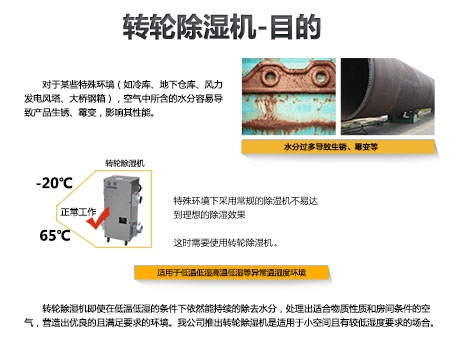 猫粮防潮秘籍，猫粮如何储存