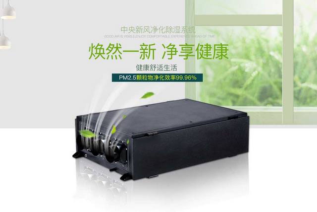 梅雨季潮湿，谨防过敏