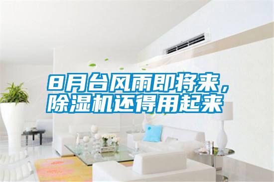 8月台风雨即将来，香蕉福利视频机还得用起来