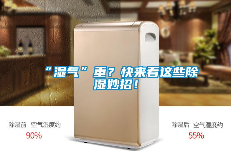 “湿气”重？快来看这些香蕉福利视频妙招！