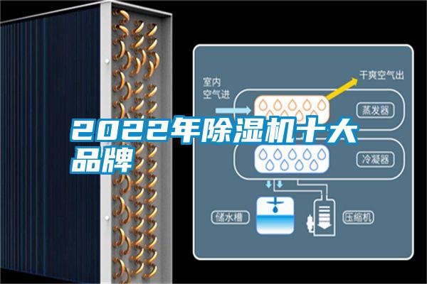 2022年香蕉福利视频机十大品牌