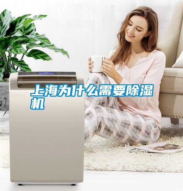 上海为什么需要香蕉福利视频机