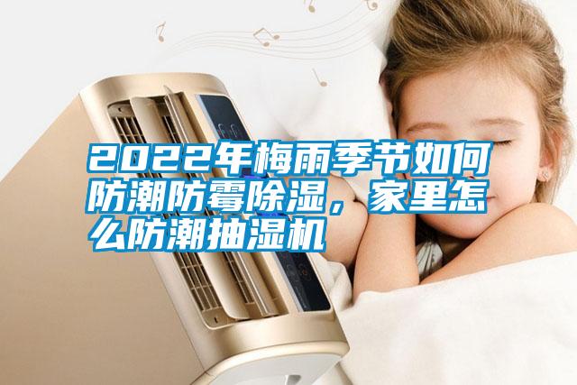 2022年梅雨季节如何防潮防霉香蕉福利视频，家里怎么防潮抽湿机