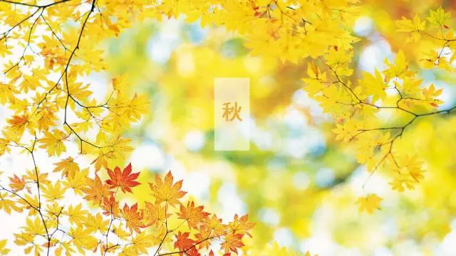 知识百科一定要香蕉福利视频的10大领域