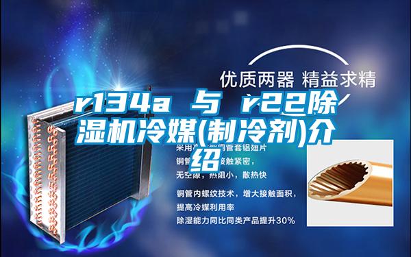 r134a 与 r22香蕉福利视频机冷媒(制冷剂)介绍