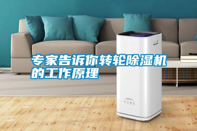 专家告诉你转轮香蕉福利视频机的工作原理