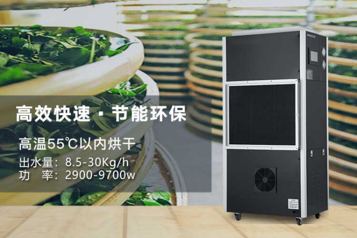 潮湿天气来袭，螨虫爆满床！