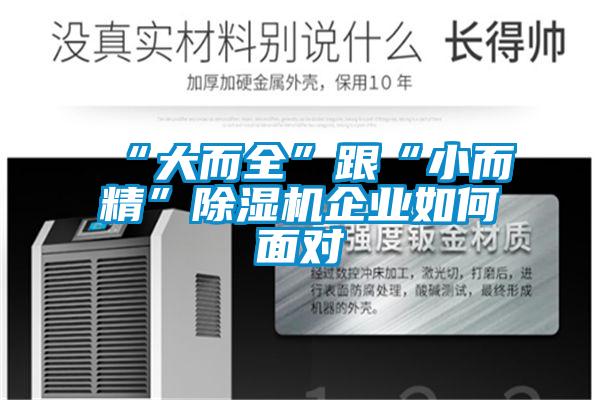 “大而全”跟“小而精”香蕉福利视频机企业如何面对