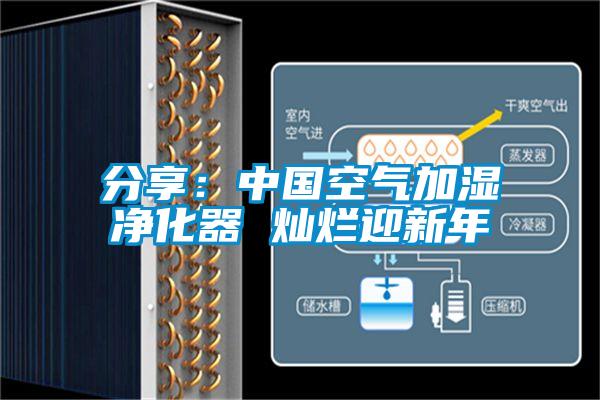 分享：中国空气加湿净化器 灿烂迎新年