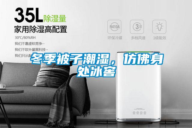 冬季被子潮湿，仿佛身处冰窖