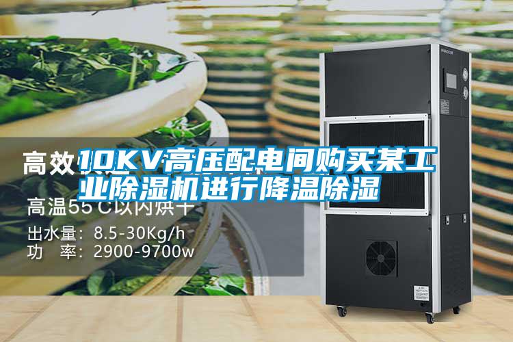 10KV高压配电间购买某工业香蕉福利视频机进行降温香蕉福利视频