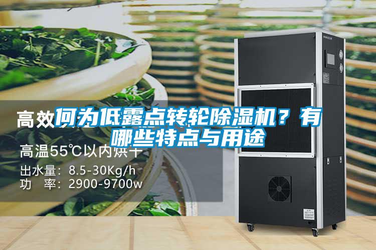 何为低露点转轮香蕉福利视频机？有哪些特点与用途