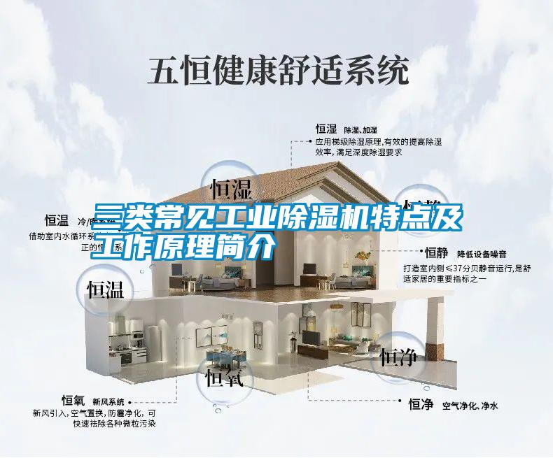 三类常见工业香蕉福利视频机特点及工作原理简介