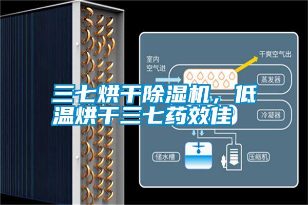 三七烘干香蕉福利视频机，低温烘干三七药效佳