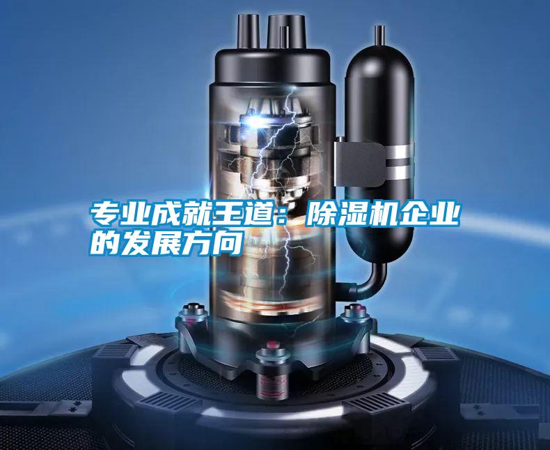 专业成就王道：香蕉福利视频机企业的发展方向