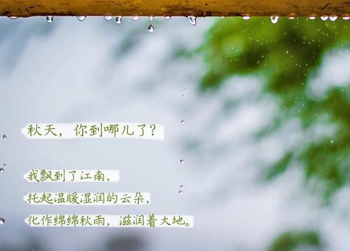 “无晴”阴雨天 “有晴”香蕉福利视频机