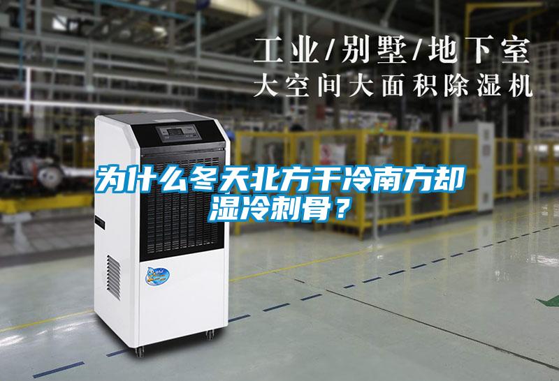 为什么冬天北方干冷南方却湿冷刺骨？
