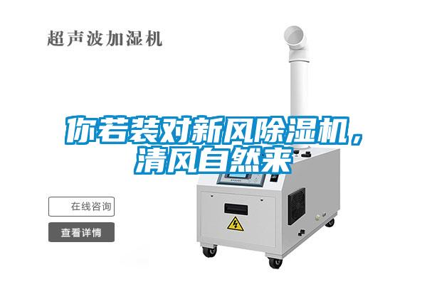 你若装对新风香蕉福利视频机，清风自然来