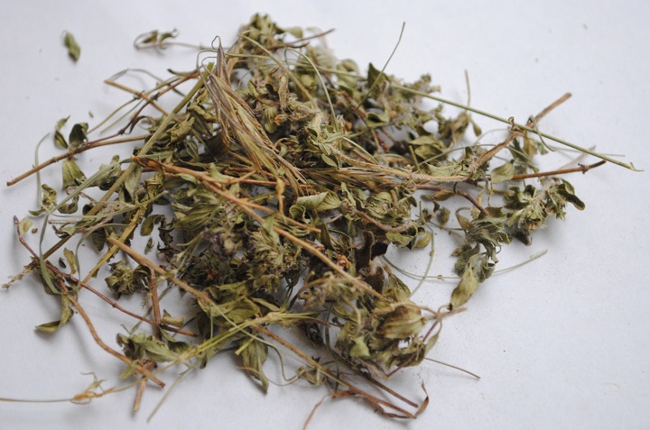 大香蕉官网烘干机