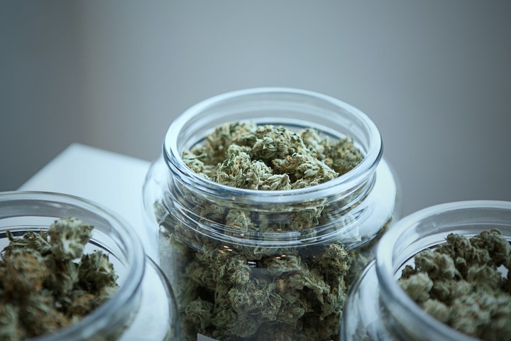 如何让中草药烘干过程“药性”不流失？