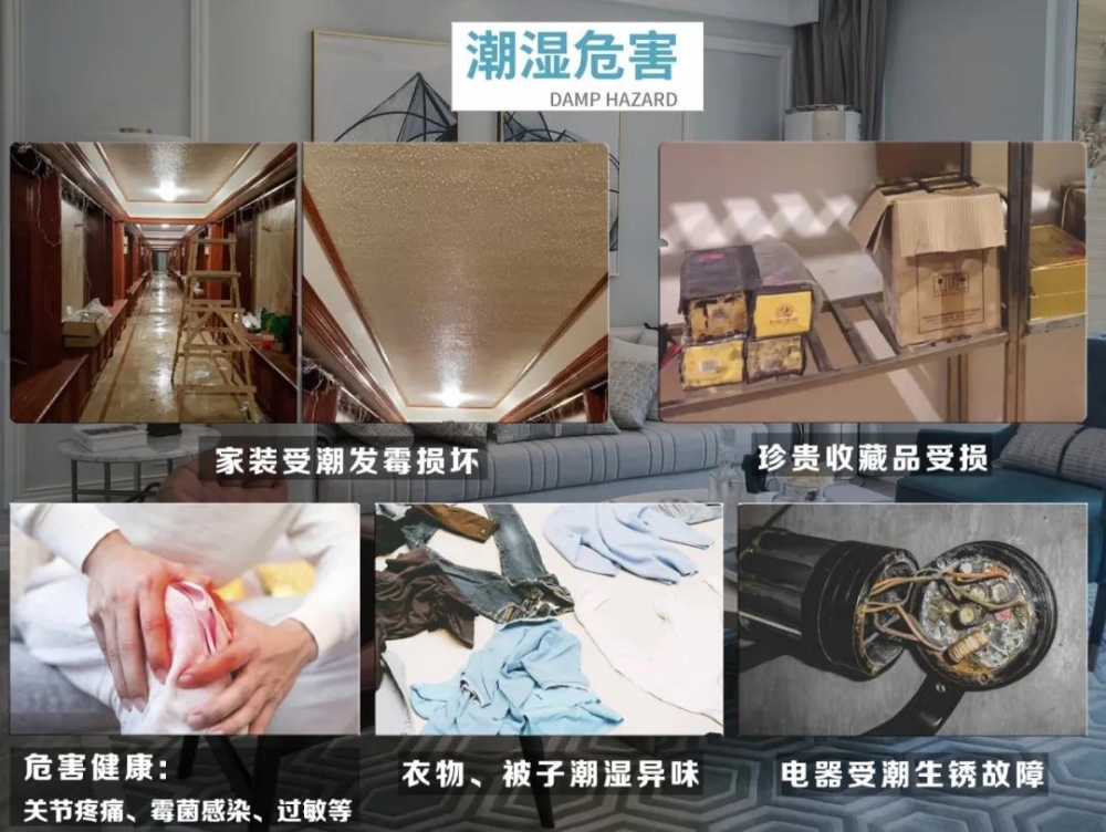 香蕉福利视频机