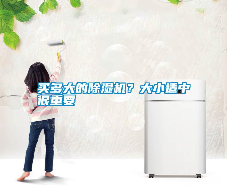 买多大的香蕉福利视频机？大小适中很重要