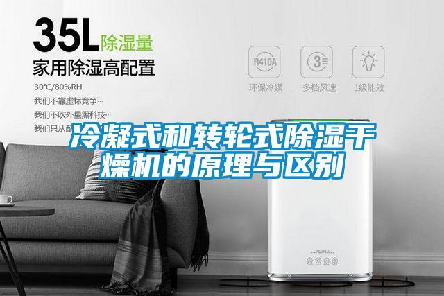 冷凝式和转轮式香蕉福利视频干燥机的原理与区别