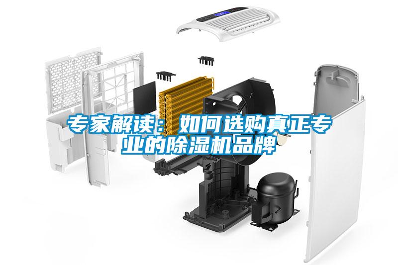 专家解读：如何选购真正专业的香蕉福利视频机品牌