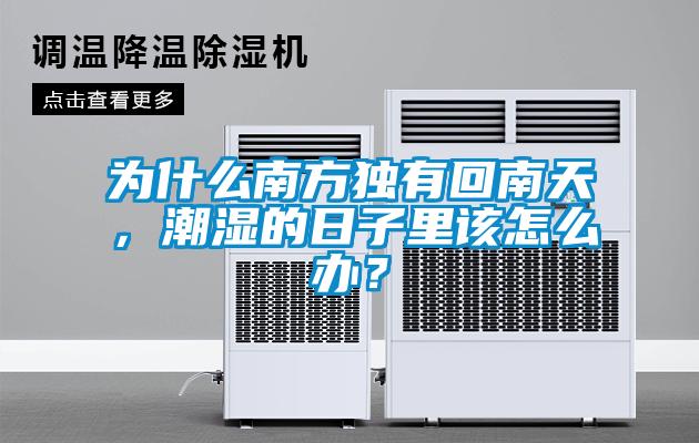 为什么南方独有回南天，潮湿的日子里该怎么办？