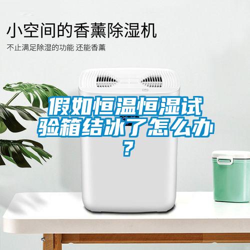 假如恒温恒湿试验箱结冰了怎么办？