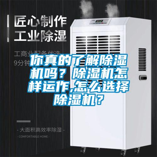 你真的了解香蕉福利视频机吗？香蕉福利视频机怎样运作,怎么选择香蕉福利视频机？