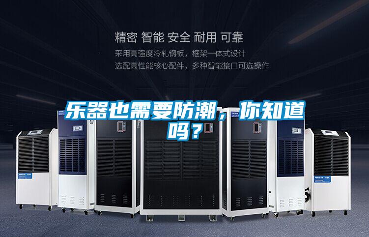 乐器也需要防潮，你知道吗？