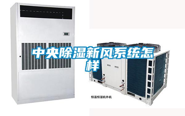 中央香蕉福利视频新风系统怎样