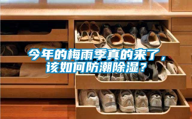 今年的梅雨季真的来了，该如何防潮香蕉福利视频？