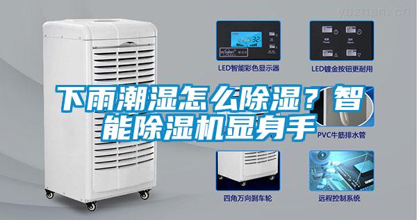 下雨潮湿怎么香蕉福利视频？智能香蕉福利视频机显身手