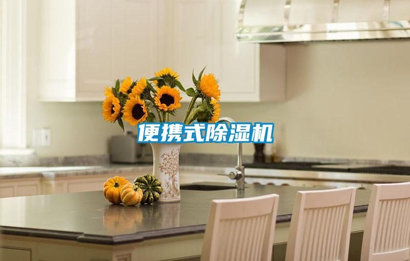便携式香蕉福利视频机