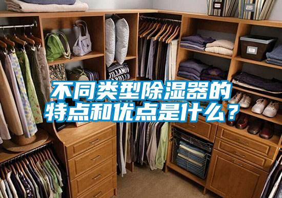 不同类型香蕉福利视频器的特点和优点是什么？