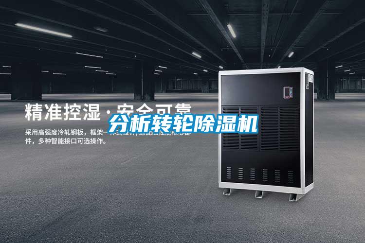 分析转轮香蕉福利视频机