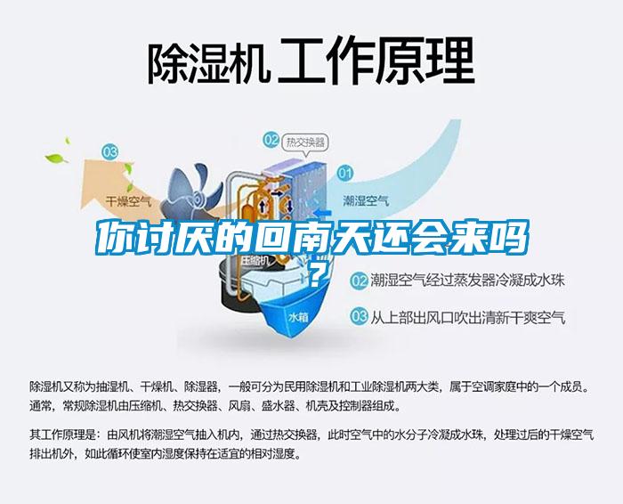你讨厌的回南天还会来吗？