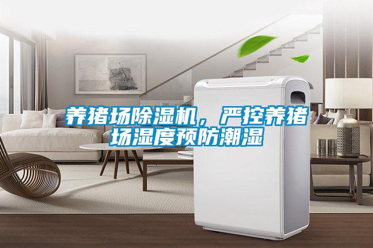 养猪场香蕉福利视频机，严控养猪场湿度预防潮湿