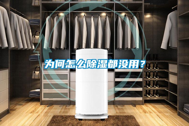 为何怎么香蕉福利视频都没用？
