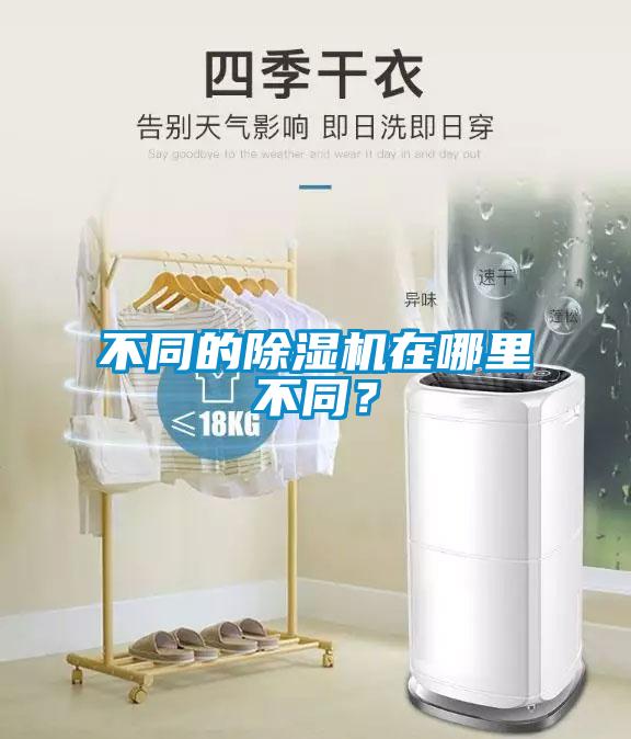 不同的香蕉福利视频机在哪里不同？
