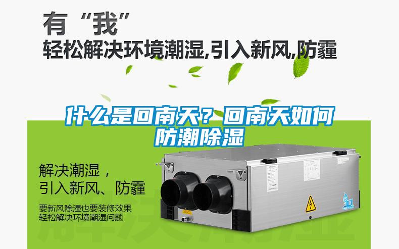 什么是回南天？回南天如何防潮香蕉福利视频