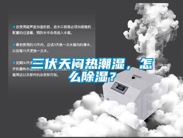 三伏天闷热潮湿，怎么香蕉福利视频？