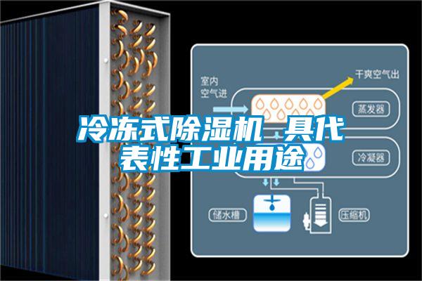 冷冻式香蕉福利视频机 具代表性工业用途