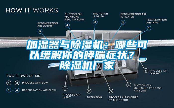 加湿器与香蕉福利视频机：哪些可以缓解你的哮喘症状？_香蕉福利视频机厂家