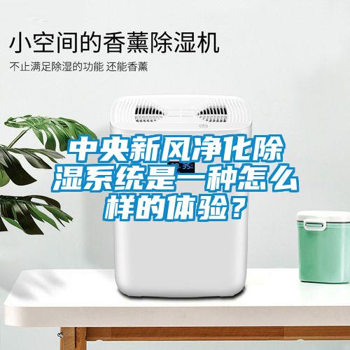 中央新风净化香蕉福利视频系统是一种怎么样的体验？