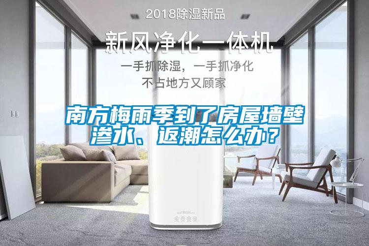 南方梅雨季到了房屋墙壁渗水、返潮怎么办？