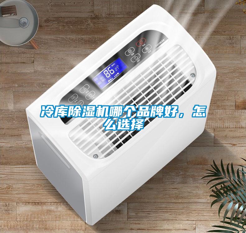 冷库香蕉福利视频机哪个品牌好，怎么选择